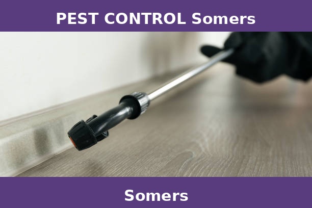 PEST CONTROL Somers